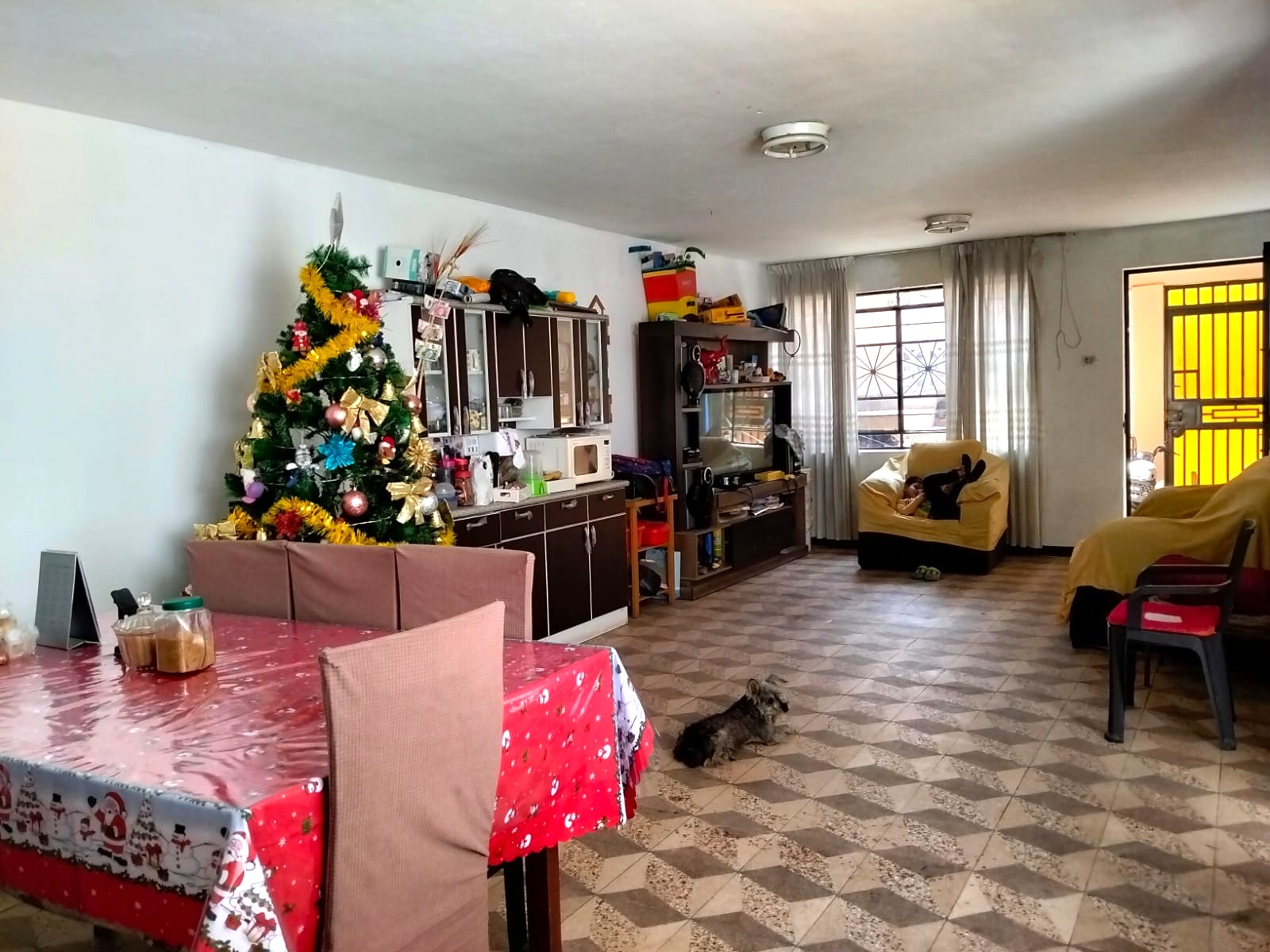 VENTA DE DEPARTAMENTO EN LOS OLIVOS - Imagen 6