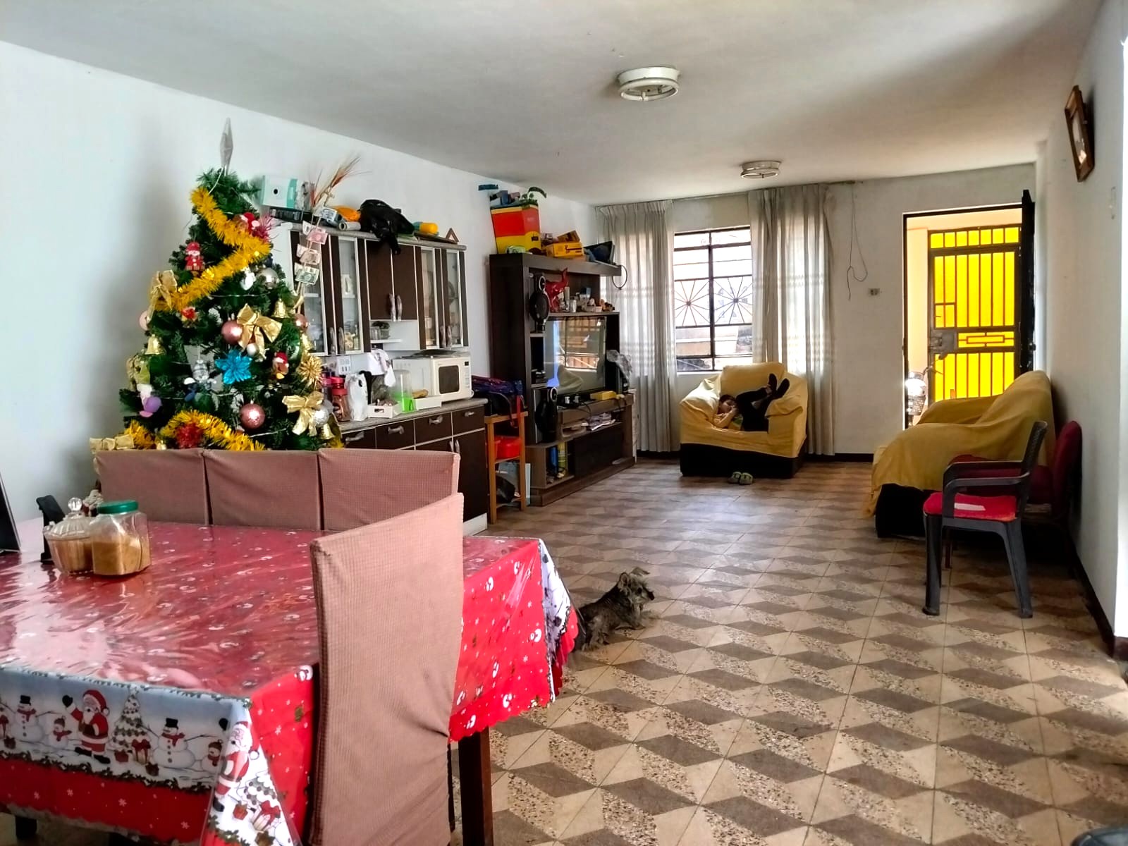 VENTA DE DEPARTAMENTO EN LOS OLIVOS - Imagen 2