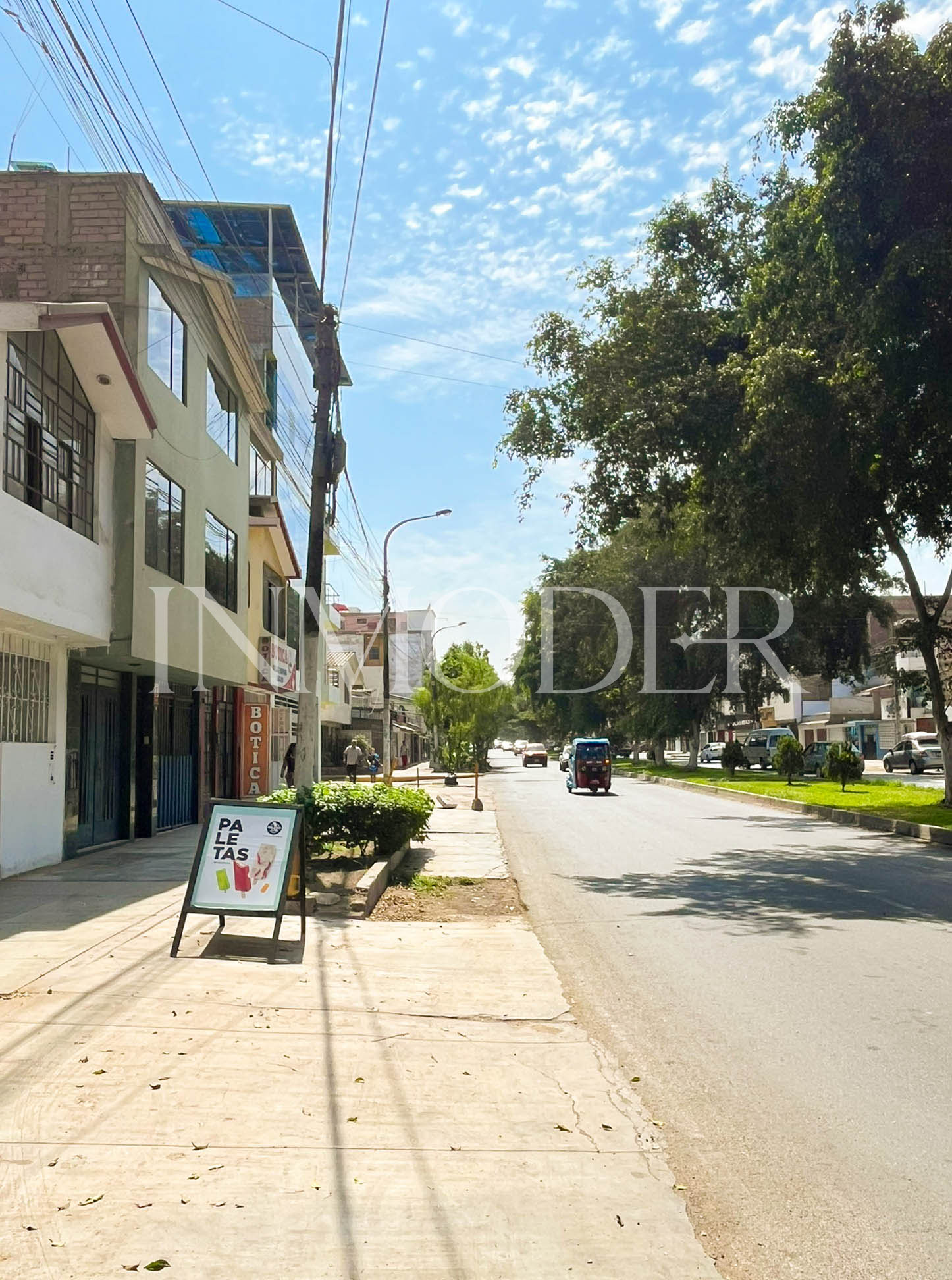 Alquiler de Departamento / Oficina - Los Olivos - Imagen 12