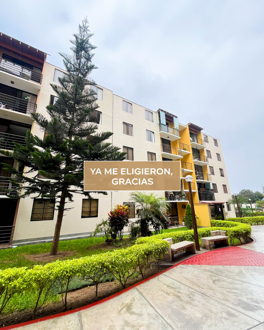 Alquiler de Departamento - Surco