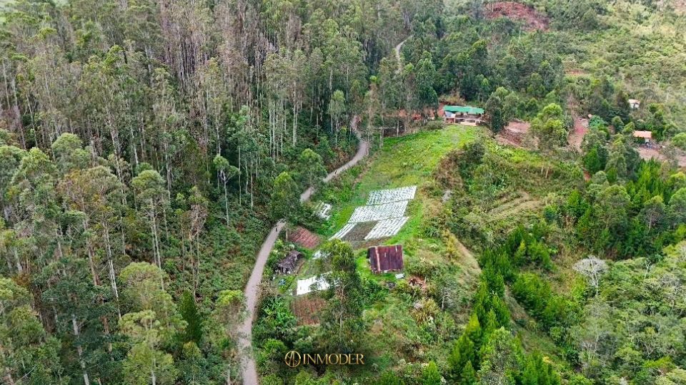 Venta de Terrenos en Villa Rica Oxapampa - Imagen 9